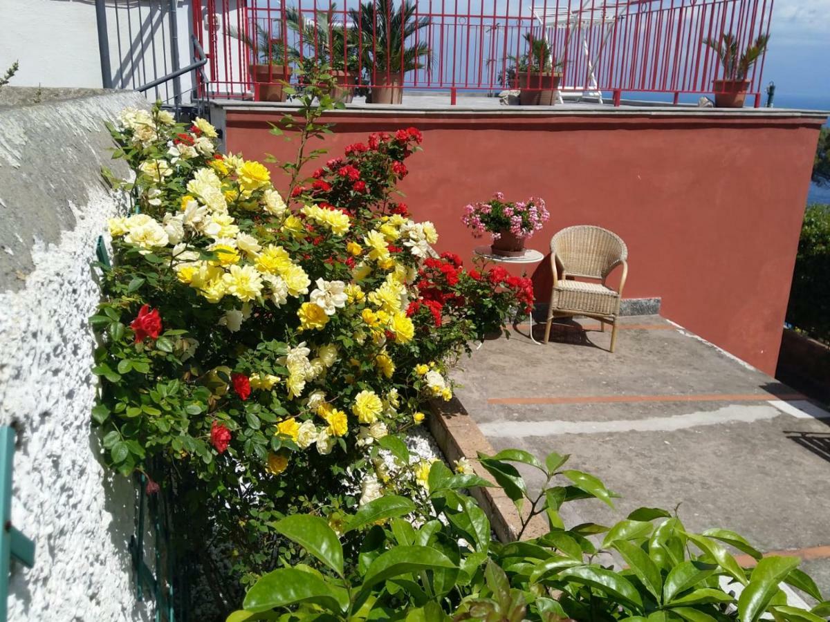 Вилла La Marocella Капри Экстерьер фото