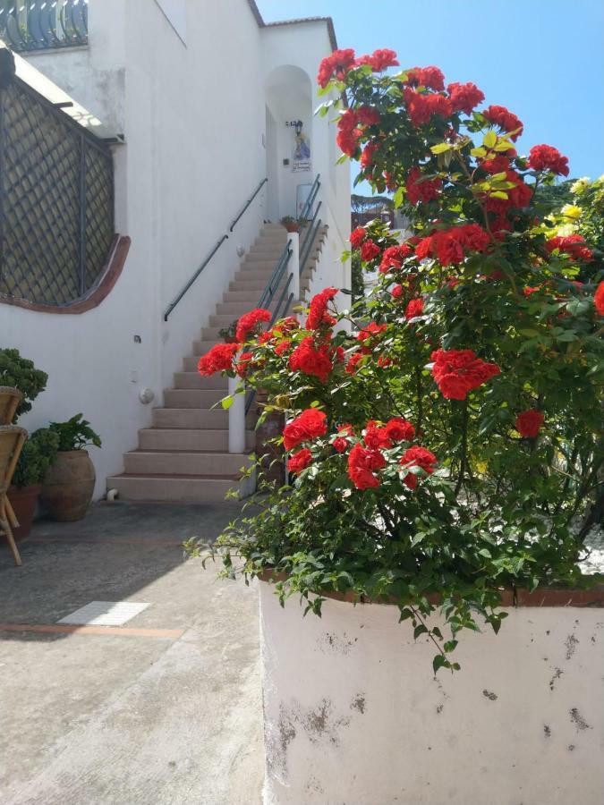 Вилла La Marocella Капри Экстерьер фото